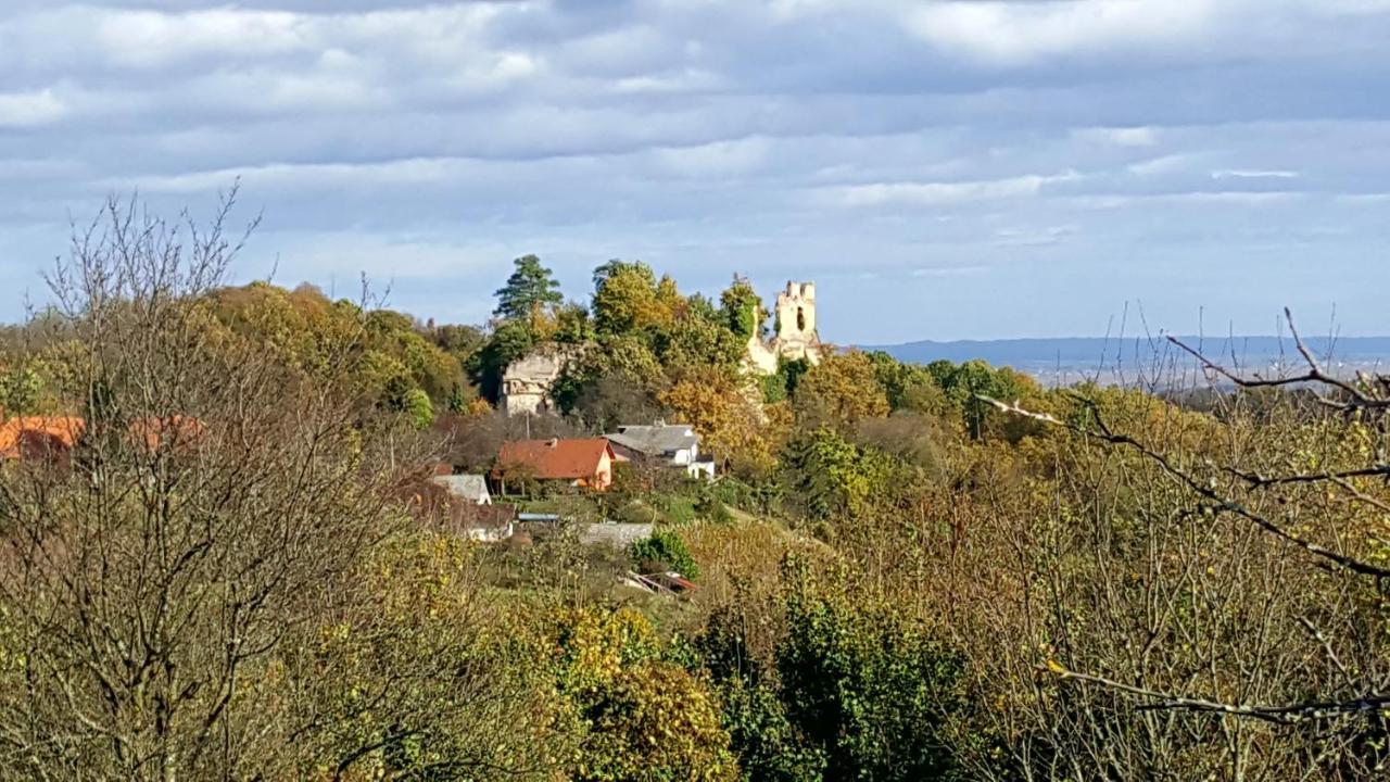 바라즈딘 Kuca Za Odmor Vinica Breg 빌라 외부 사진